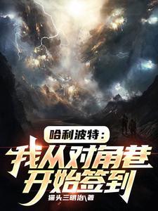 哈利波特中对角巷的描写